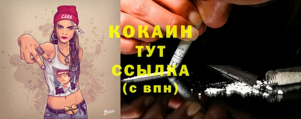 сатива Армянск