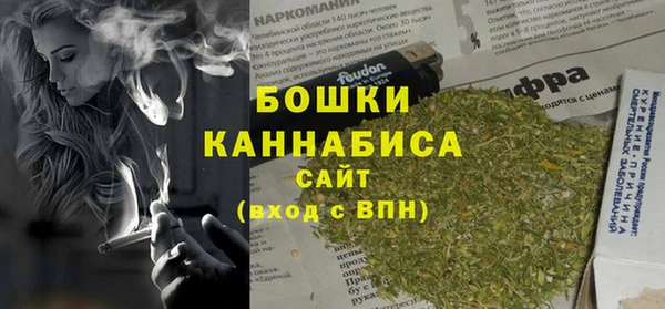 сатива Армянск