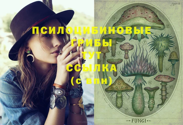 сатива Армянск