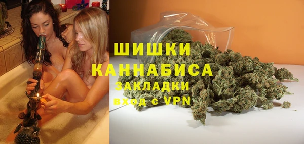 сатива Армянск